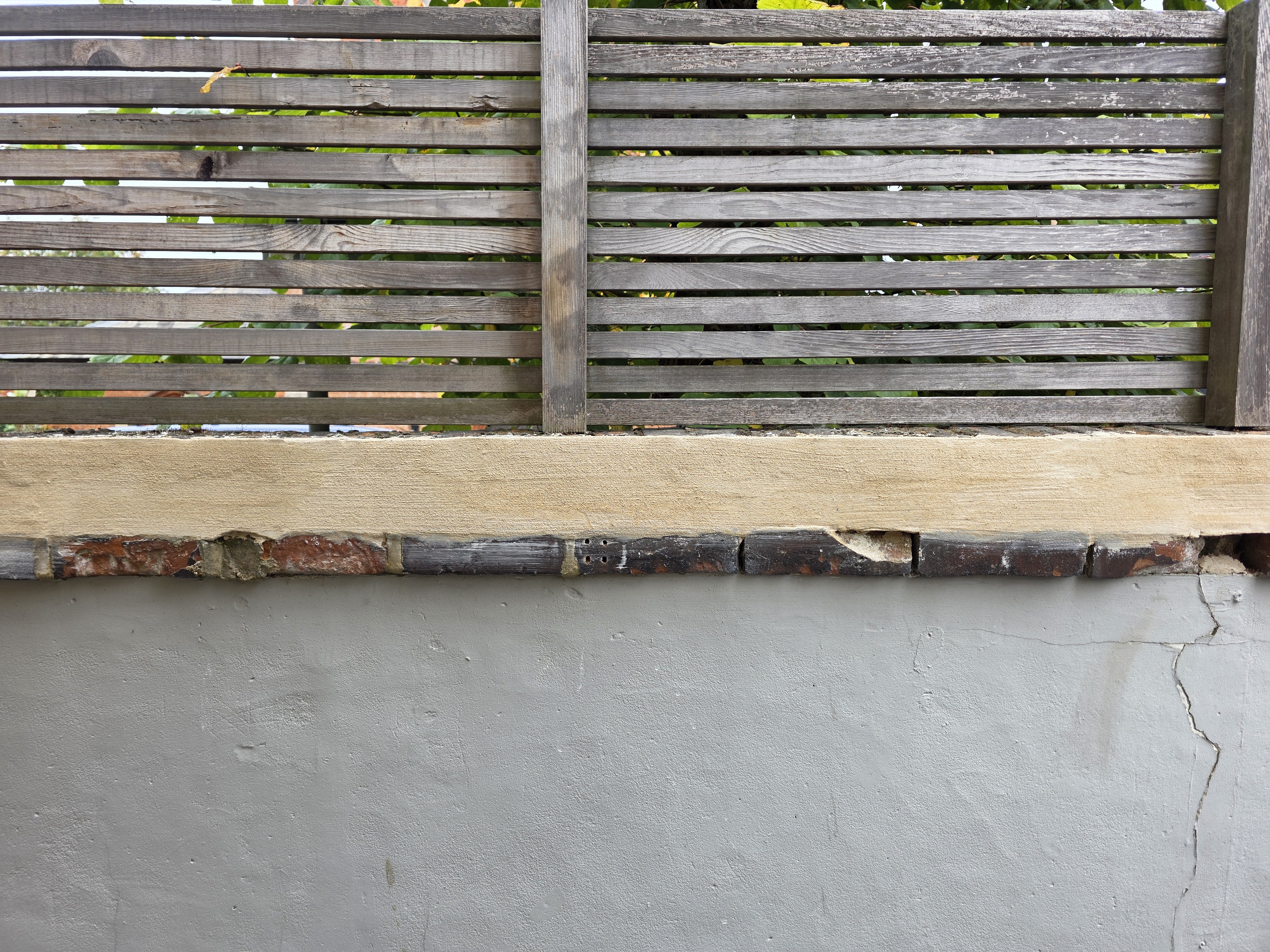 Project Photo 5